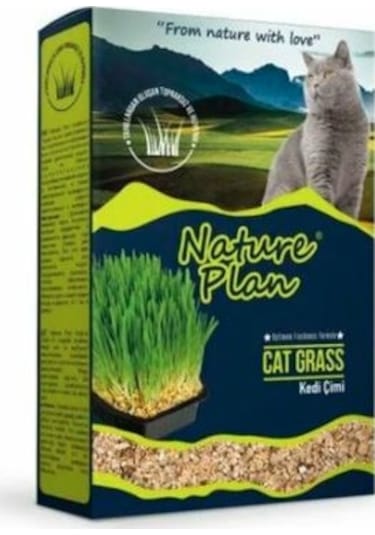 Nature Plan Kedi Çimi 500 ML