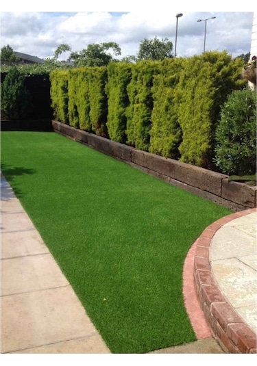 Bermuda Çim Tohumu Uganda Çim Tohumu 500 Gr