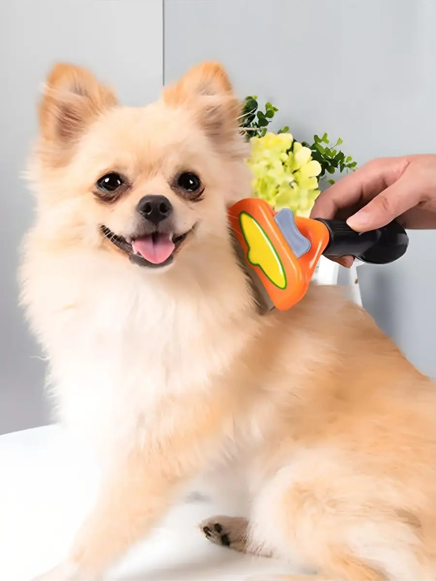 Kastly Köpekler Ve Kediler İçin Tarak Fırça Fırça Eldiven Tüy Alma 50401833