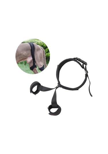 Homyl Köpek Kalça Desteği Canine Aid Bacak Yardımcısı M