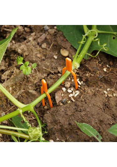 Lebihmurah 4076 50 Adet Plastik Bitki Klipleri Sabitleme Sabitleme Kelepçesi Çilek Tarımı Klip Podazz