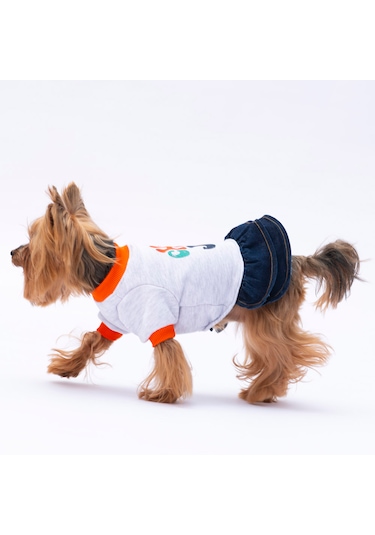 Pawstar Gri Santa Rosa Kedi Köpek Elbisesi