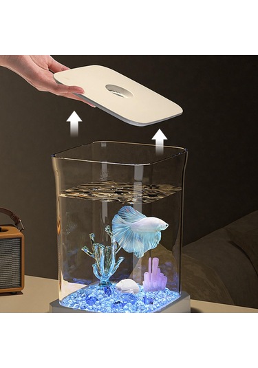 Suntek Balık Tankı Yetiştirme Masaüstü Ev Oturma Odası