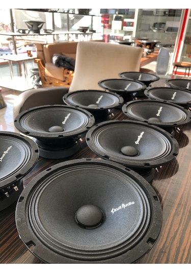 Skull Audio M2-8spl V2 250w Rms 20cm