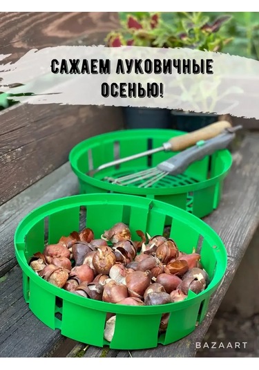 Botanikum Soğanlı Bitkiler İçin Sepet, Kelebek Yetiştirme 324986773