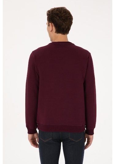 U.s. Polo Assn. Erkek Plum Sweatshirt 50316354-vr177 New Plum
