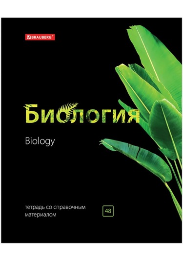 Brauberg Ders Defterleri. 10 Parçalı Set, 48 Yaprak 12431273