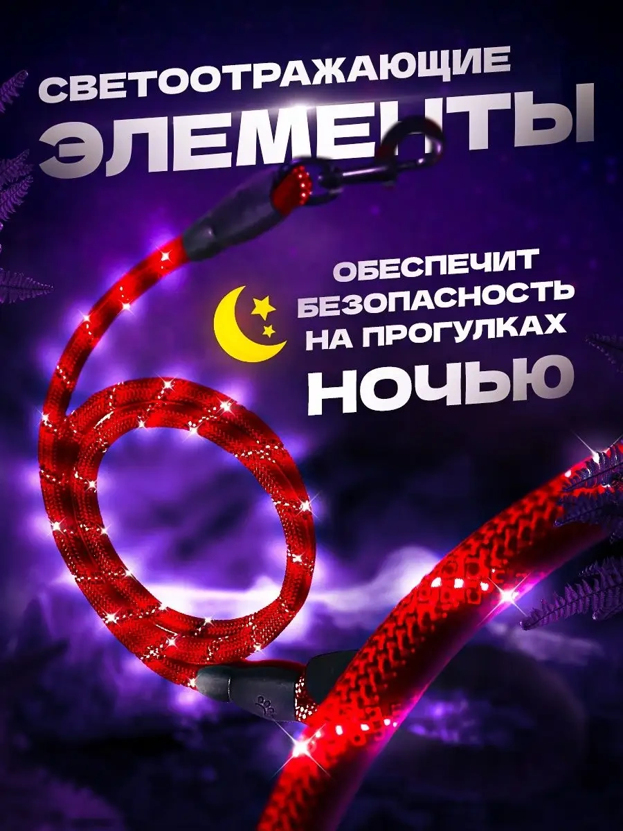 Petfort 3 M Yansıtıcı Naylon Köpek Tasması 167502163 Kırmızı