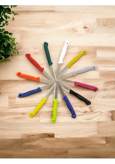 Solingen Meyve Bıçağı Seti Mavi 6'lı Mavi