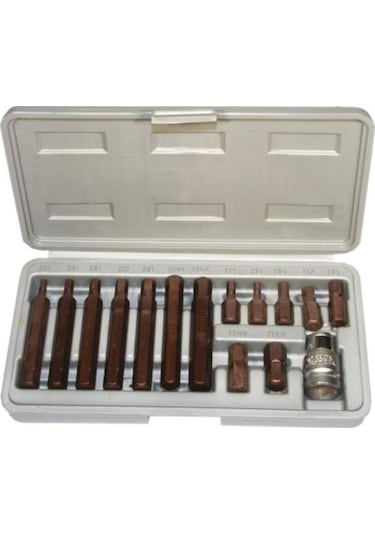 Rico 005-kk0001 15 Parça Kaplamalı Hex Alyan Bits Seti Takımı