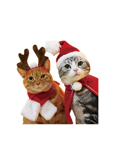 Kangvka Kedi Köpek Bayram Atkısı Kırmızı S Boyutu - Yumuşak Kumaş, Kolay Kullanıma Uygun, Tatil Dekorasyonu Çok Renkli