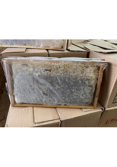 Tanbal Yüksek Yayla Petekli Siyah Bal 3100 G