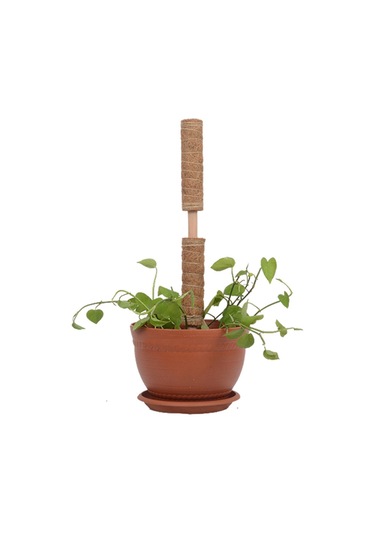 Suntek 30/40/50cm Hindistan Cevizi Totem Direği Uzatılabilir 50cm