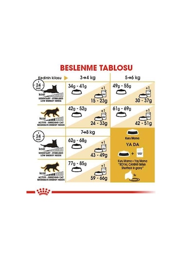 Royal Canin British Shorthair Kedilerine Özel Mama 10 KG