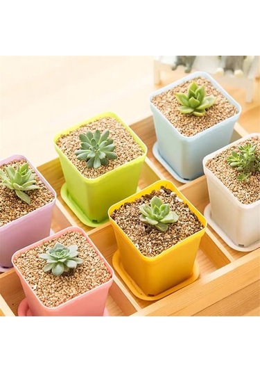 Mini Renkli Saksılar, Plastik Saksılar, Etli Bitki Saksıları Rastgele Renkler