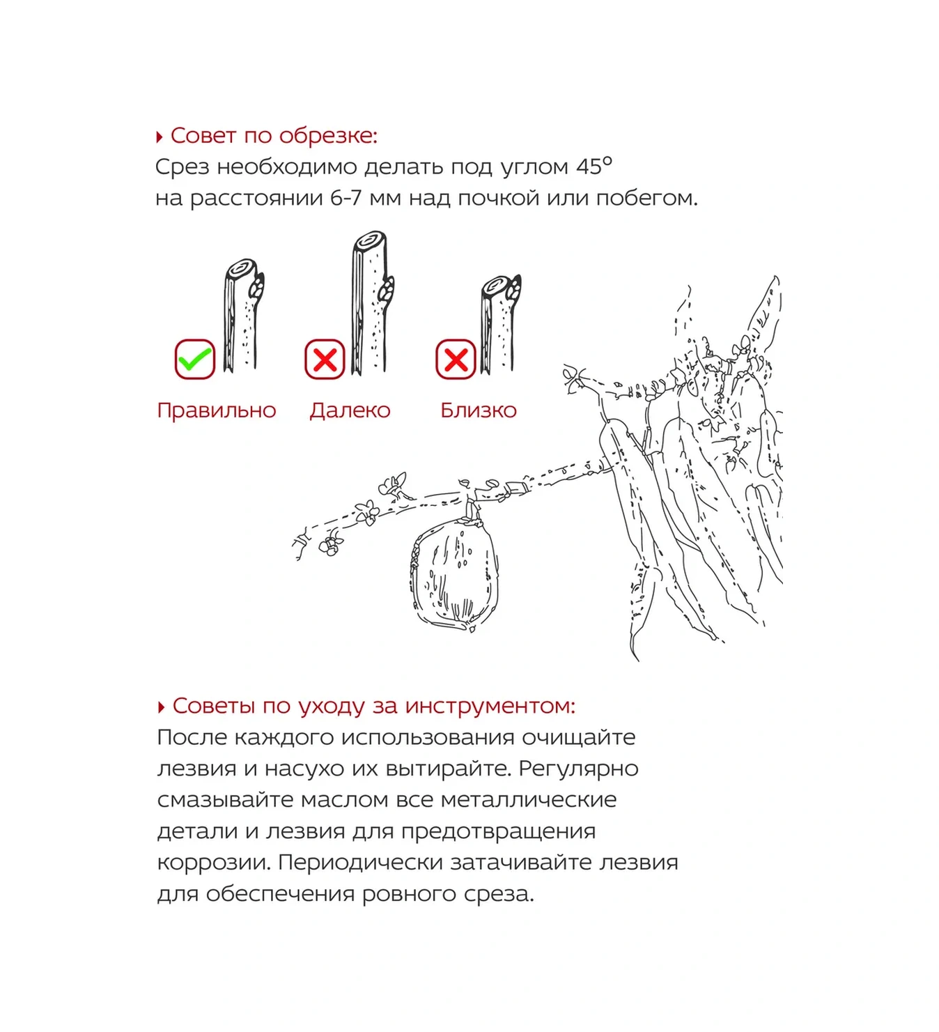 Frut Club 30 Mm'ye Kadar Kesim İçin Mandallı Mekanizmaya Sahip Bahçe Budama Makası 13976667