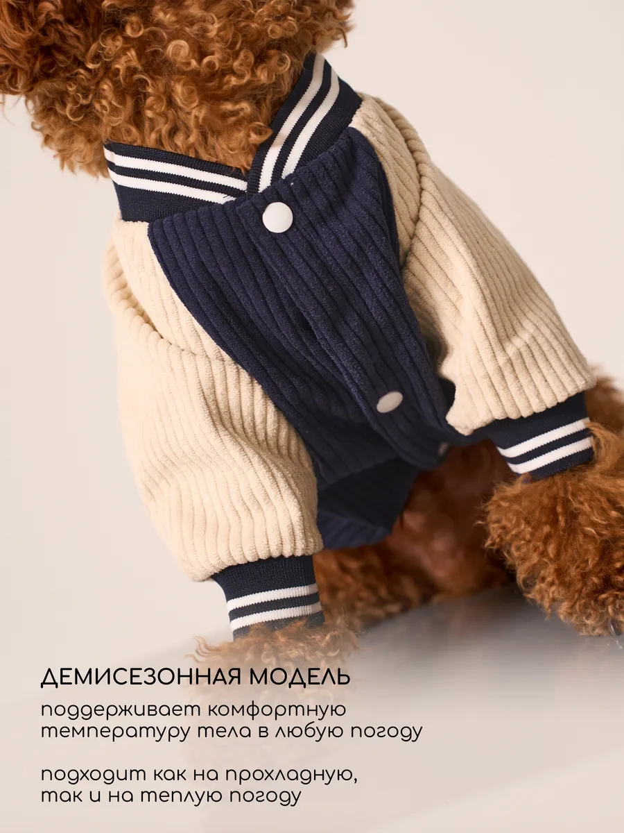 Petite Pets Küçük Irklar İçin Köpek Bombardıresi 338568297