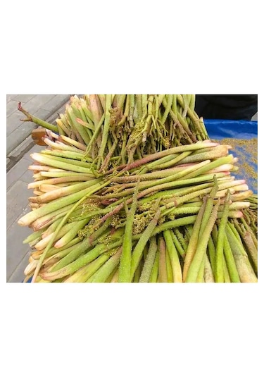 Selkur Işkın, Yayla Muzu, Işkın Otu, Dağ Muzu 1kg