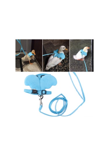 Yuntech01 Kuruşluk Kedi Tavuk İnek İçi İçin Nilon Askı, Ayarlanabilir Güvenlik Kanca, Dayanıklı Ve Nefes Alabilir, Outdoor Eğitim Ve Yürüyüş İçin S Turuncu