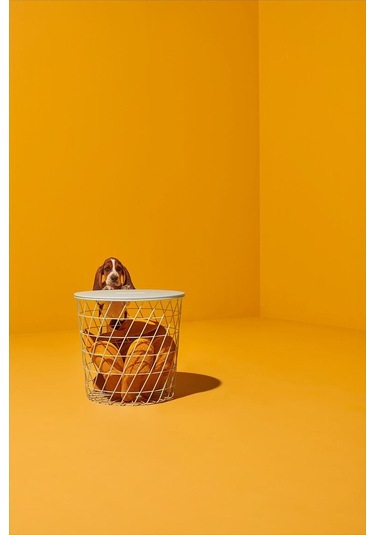 Saklama Bölmeli Sehpa, Beyaz, 44 Cm Beyaz