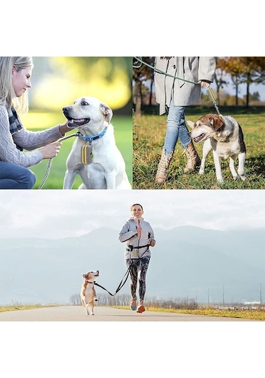 Açık Pet Atık Torbası Köpek Kakası Toplama Çantası Gri Yeşil Çift Fermuarlı