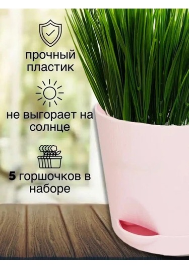 Interm Kaktüsler, Menekşeler Ve Sukulentler İçin Saksı, Otomatik Sulama Sistemi 133195521