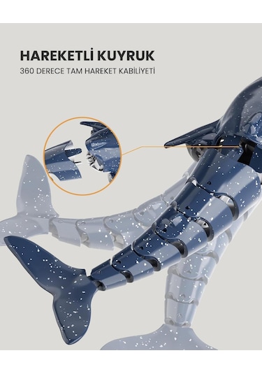 Lc Uzaktan Kumandalı Köpek Balığı