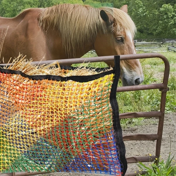 Elmpaly Renkli At Yem File - Dayanıklı Yavaş Yemleme Çuvalı 35inx24in