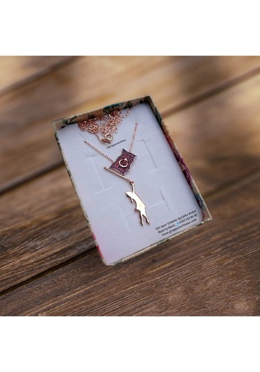 Modahilye 925 Ayar Gümüş Ayyıldız Rozegold Kolye Rose Gold