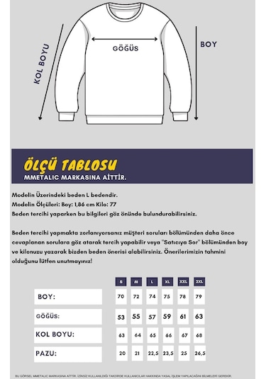 MMetalic Erkek Gri Bisiklet Yaka Nakış Detaylı Regular Fit Sweatshirt 001