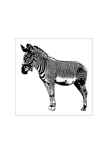 Zebra Folyo Sticker 130cm Uzunluk Karışık Renkli