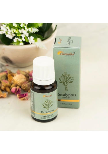 Aromatika Okaliptüs Buhurdanlık Kokusu Renkli