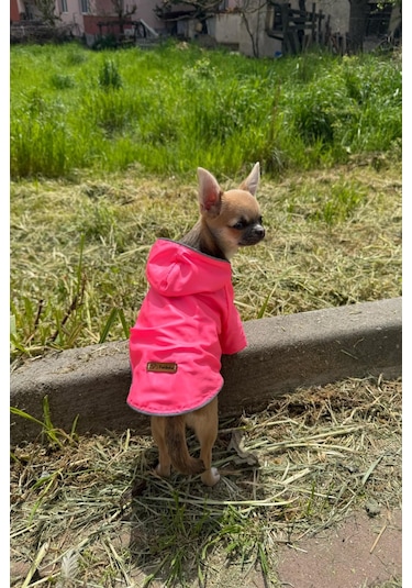 Kedi - Köpek Kıyafeti Kapşonlu Pembe Yağmurluk & Mont