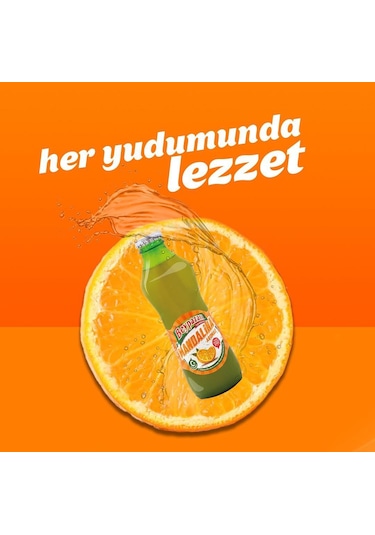 Beypazarı Mandalina Aromalı Maden Suyu 200 Ml X 24 Adet