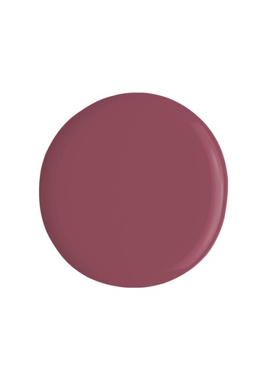 Alix Avien Pembe Nude Oje 55 Yüksek Pigmentli Uzun Süreli Kalıcılık Hızlı Kuruma Nail Lacquer 55