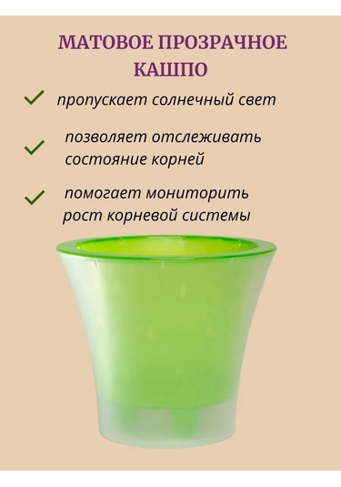 Live-in-green 2 Litre Orkide İçin Şeffaf Plastik Saksı Takımı 342131427