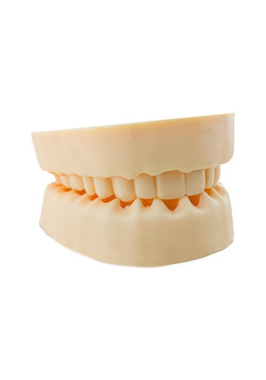 Barışhan Medikal Silikon Çene Diş Dikiş Modeli Ortodontik Alt Üst Çene Periodontal Sütür Eğitim Modeli-5