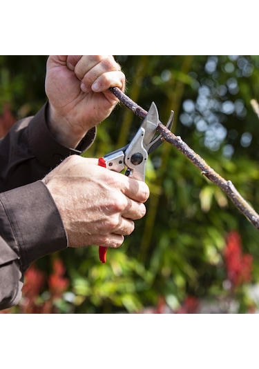 Felco 11 Budama Makası - 110214 Sağ By-Pass