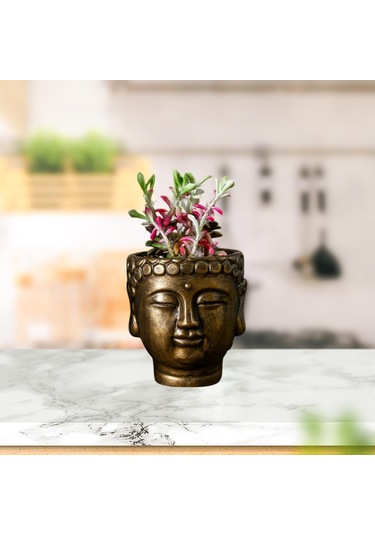Suntek Çimento Buda Head Pot Statue Bonsai Çiçek Vazo Bronz