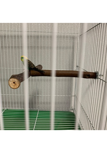 Yifomall Ahşap Kuş Tüneği - Eğitim Ve Oyun Standı 18x15cm