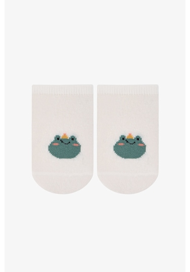 Penti Renkli Erkek Çocuk Catcher Frog 4 Lü Frog Çok Renkli