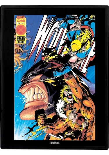Fandrop Marvel Wolverine Sabretooth'a Karşı Mv01