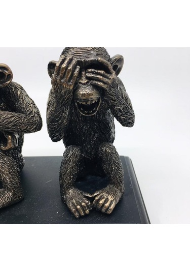 Bilge Üç Maymun Biblo