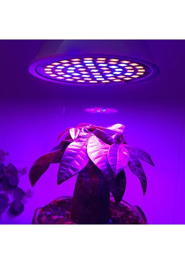 Sones E14 20w 60 Led Bitki Büyüme Led Ampul