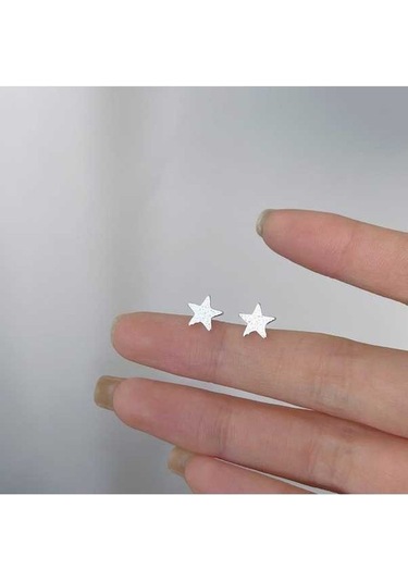 Flybuy Kadın Küpe 993 Ayar Gümüş Kaplama Platin Takı Küçük Boy Gümüş 69 Gümüş