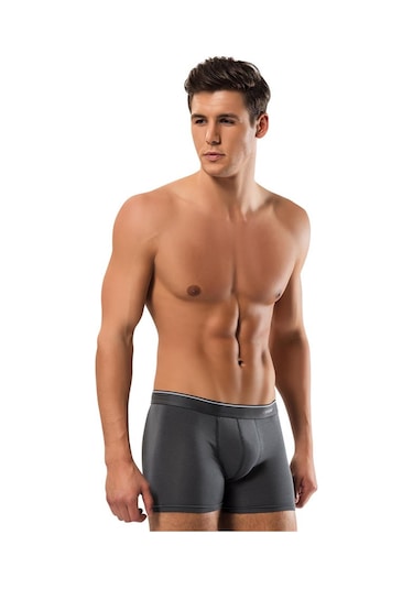 Erdem Füme-gri-lacivert -- 3'lü Basic Boxer 1491 Füme - Gri - Lacivert