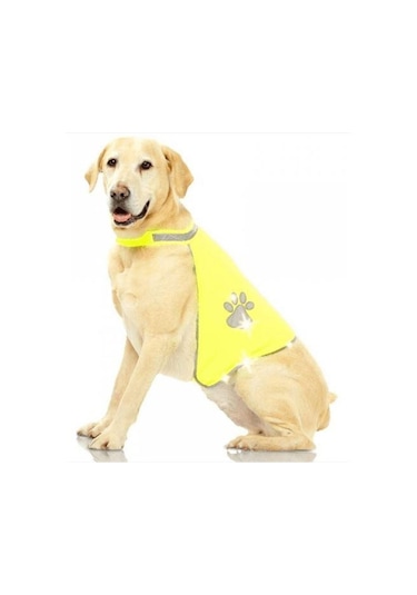 Pawise Reflektörlü Köpek Yeleği