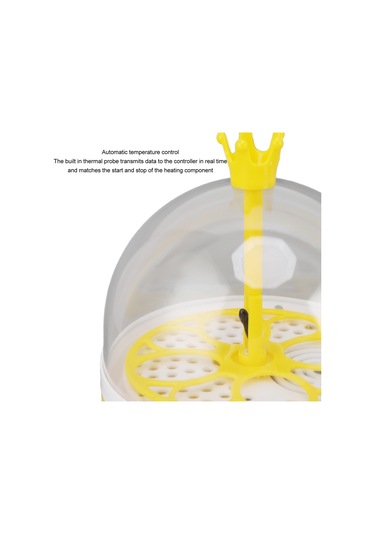 Qianfan Yumurta Kuluçka Otomatik Sıcaklık Nem Kontrolü Tavuklar