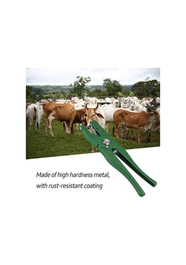 Didadodo Yeşil Kırmızı Metal Kulak Küpesi Penseti - 320g, 30x10x2cm Yeşil, Küçük Boy Yeşil