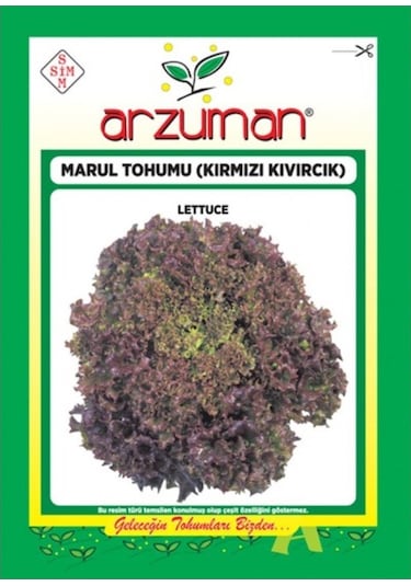 Arzuman Kırmızı Kıvırcık Marul Tohumu 5 G